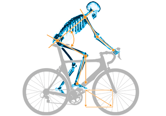 Optimale Fahrrad Sitzposition / Bike Fitting für Rennrad